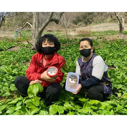 울릉도명이김치 후기정보 상품 7가지